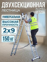 Купить Лестница двухсекционная Ал 5209